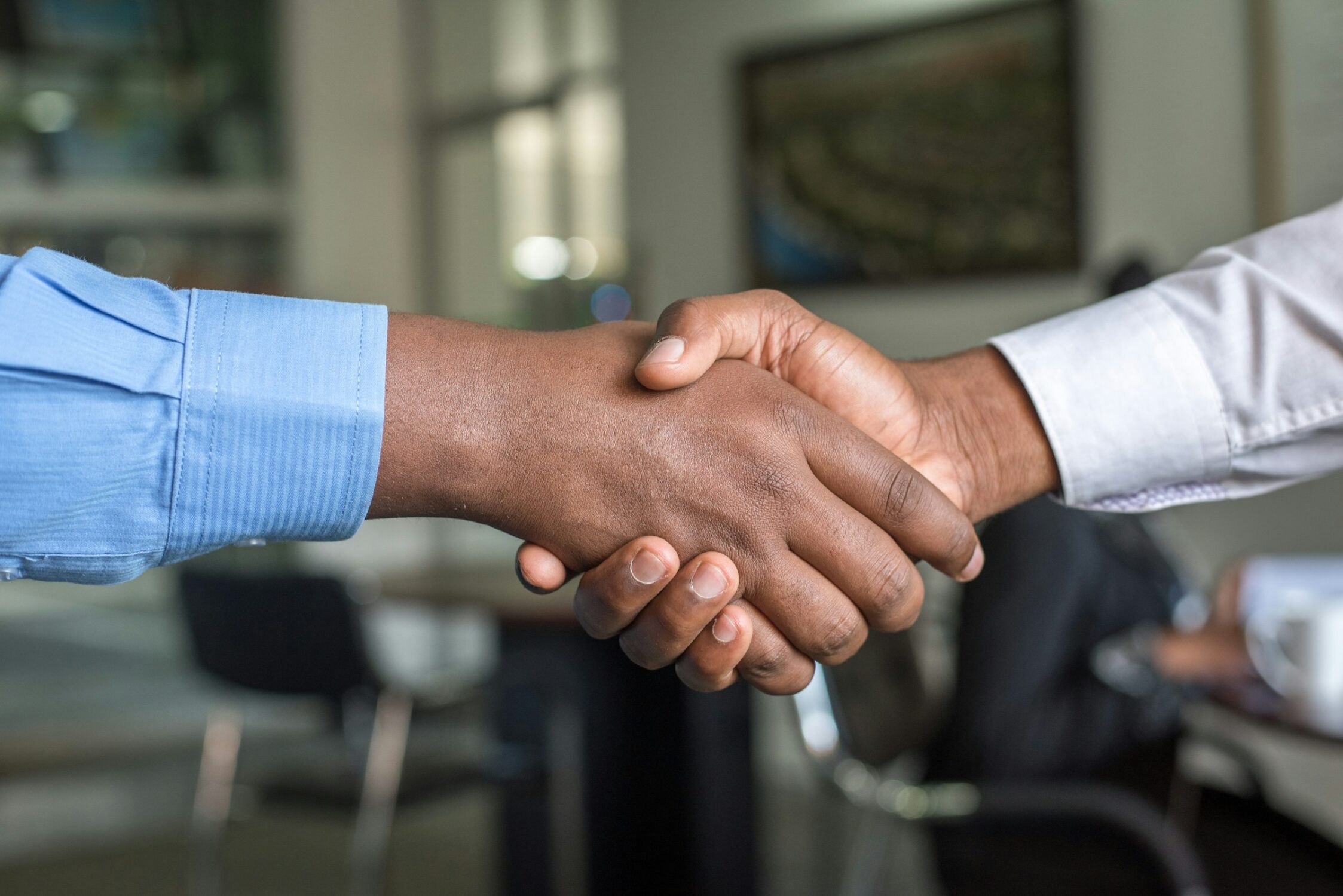 Two business people shaking hands